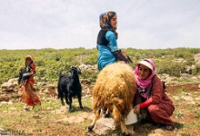 ۸ حوزه کارآفرینی ویژه زنان عشایر در آذربایجان‌غربی فعال است
